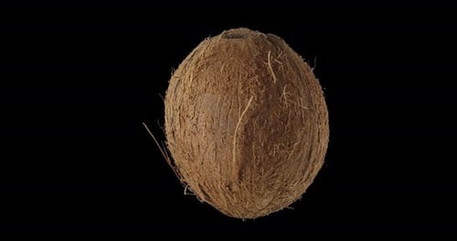 Vegetables And Fruits Alpha Channel