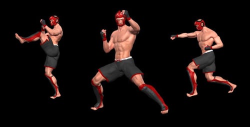 3D Male Fighter Performing Martial Arts Kicks and Punches Animation