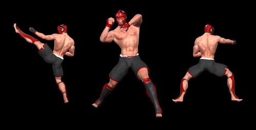 3D Martial Arts Fighter Performing Combat Moves Loop Animation