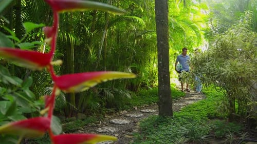 Couple walking down path in tropical jungle, Costa Rica. Shot on RED EPIC for high quality 4K, UHD,