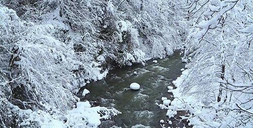 River in the Winter