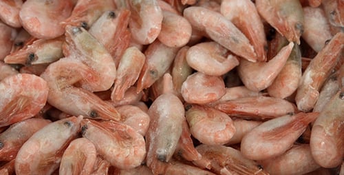 Frozen Shrimp in a Store