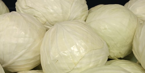 Head of Cabbage on the Counter in the Store