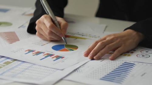 Adult Examining Charts in Workplace