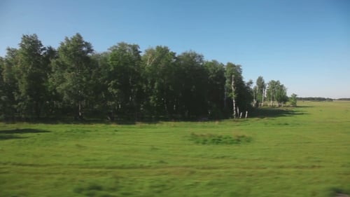 Sibirische Landschaft - Blick vom Zug