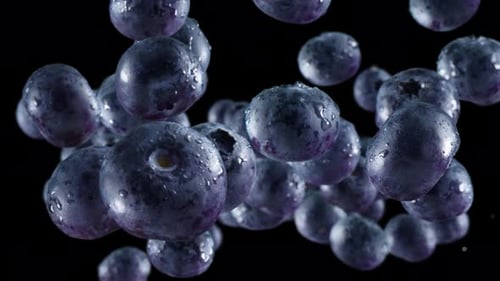 Fresh Blueberries Falling on Black Background