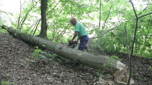 Mann sägt Holz-Kettensäge