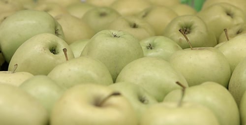 Yellow Apples in Store