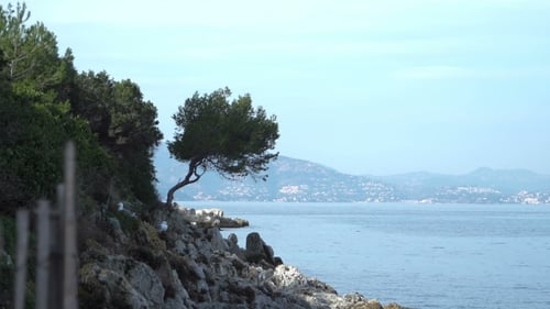 Lerins Abbey In France