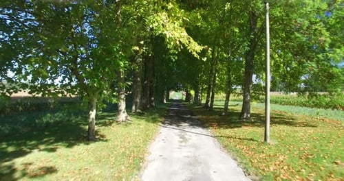 Travelling Shot Through Tree Lined Driveway In France. 1
