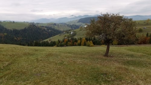 Carpathian Mountains Aerial