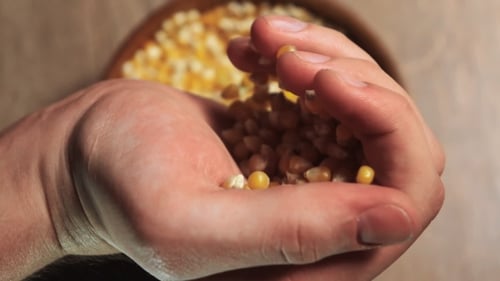 La main de l'homme verse du pop-corn dans un bol.
