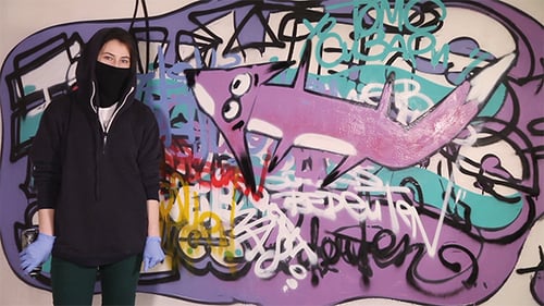 Garota Pintura Graffiti Fox