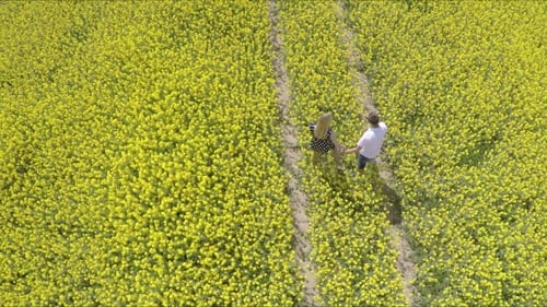Affectionate Man And Woman Holding Hands While Running On Oilseed Rape Farm.