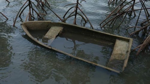 Dilapidated Rowboat Submerged Among Mangrove Roots
