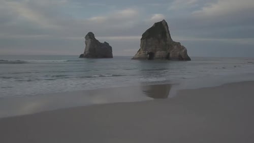 Flying with bird along beautiful beach