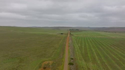 Rural Farmland Aerial View with Dirt Road