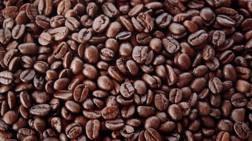Close Up of Pile of Roasted Coffee Beans