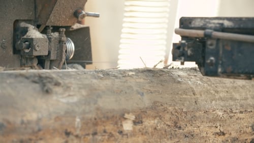 Conveyors Of Logs In Front Of Cutting Machines