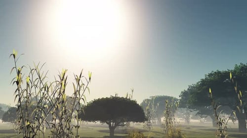 Day to Night Sunset Timelapse in Nature Landscape