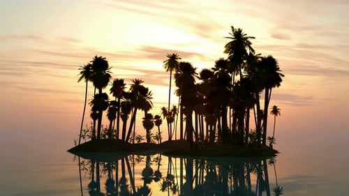 Sonnenuntergang am Meer Mit Insel Und Palmen 2