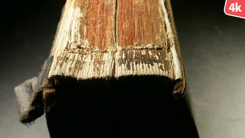 Extreme Close Up of a Vintage Book Spine