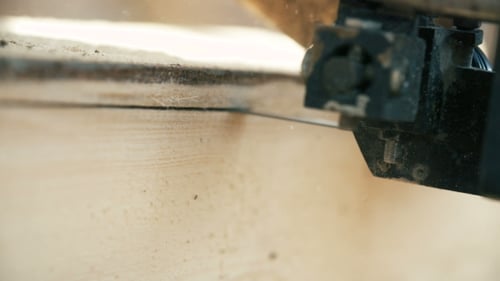 Lumber Industry - Conveyors Of Logs In Front Of Cutting Machines.