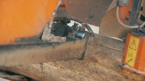 Holz schneiden in einem Sägewerk