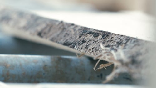 Lumber Industry - Conveyors Of Logs In Front Of Cutting Machines.