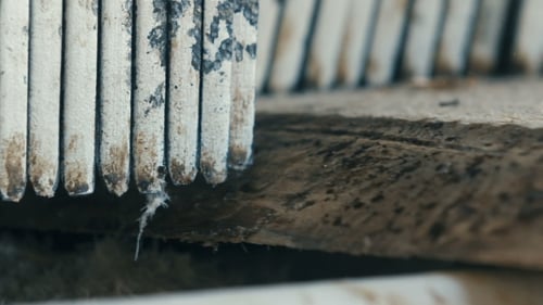 Coupe du bois dans une scierie