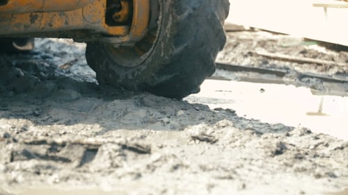 Heavy Equipment Loading With Clipper Cut Logs