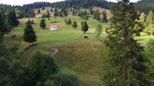 Picturesque Mountain Area, Aerial View