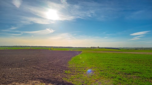 Campo de primavera e o sol
