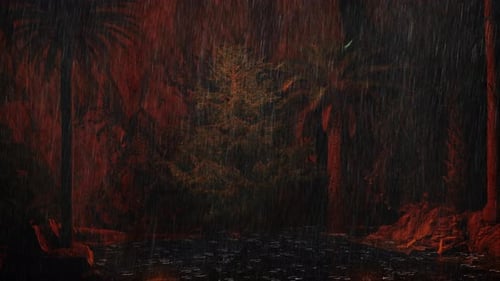 Lakes And Cliffs In The Forest At Night