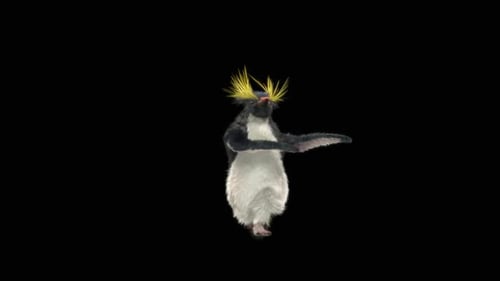 Penguin Dancing HD