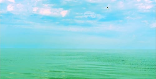 Landscape 9