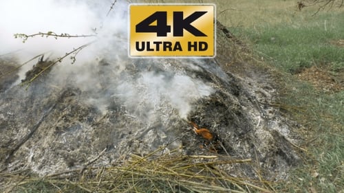 Burning Grass Foliage Heap With Heavy Dense Smoke