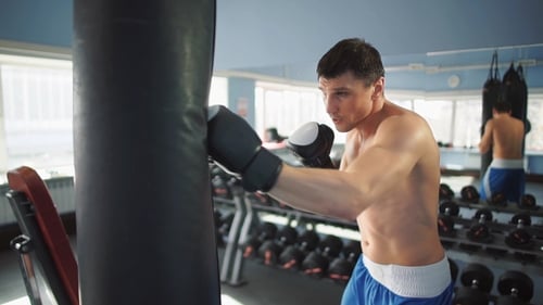 Boxer Training In The Gym