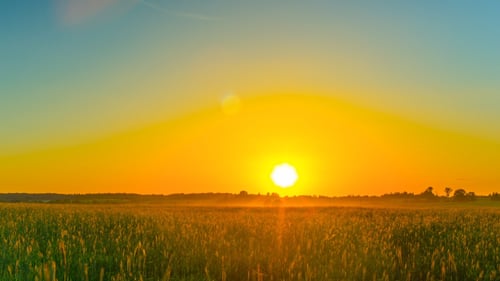 Sunset Over The Field