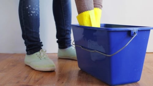 Woman Washing And Squeezing Rag In Bucket At Home 91