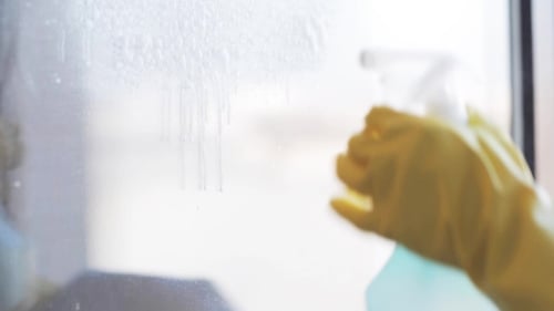 Woman In Gloves Cleaning Window With Rag 113