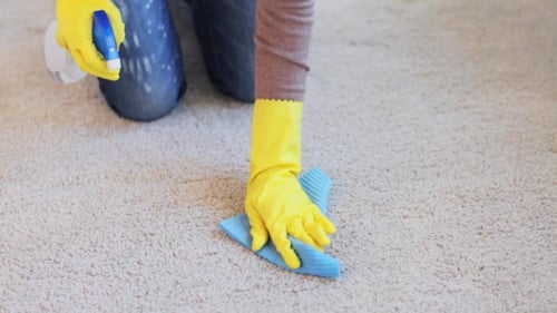 Woman In Gloves Cleaning Carpet Or Rug With Rag 48