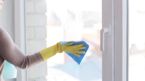 Woman Cleaning Window with Spray Bottle and Cloth