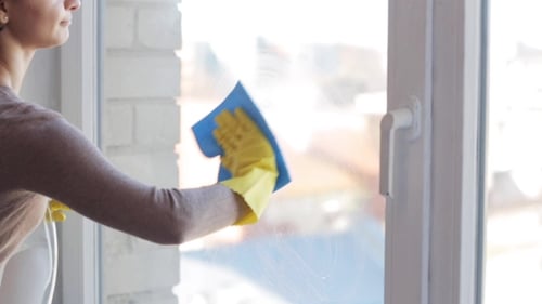 Woman Cleaning Window with Spray and Cloth