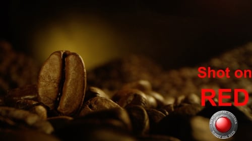 Roasted Coffee Beans in Dark Lighting Close Up