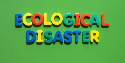 Ecological Disaster Phrase with Colorful Magnetic Letters