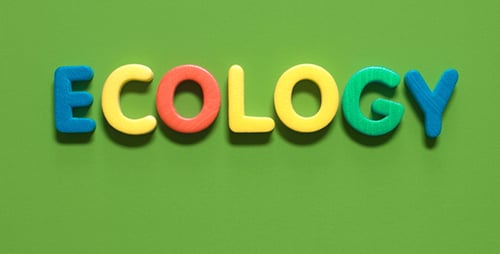 Man Collects the Word "Ecology"