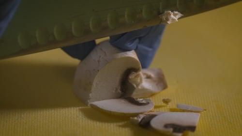 Mushroom Slice in Kitchen with Gloved Hands
