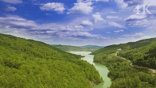 Mountain Forest Spring
