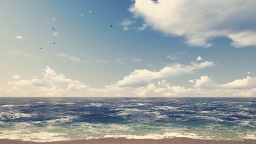 Realistic Ocean Waves Loop on Sandy Beach